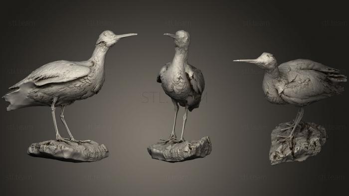 Статуэтки птицы Длинноклювый кроншнеп